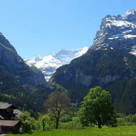 Almisgaessli By Interhome 公寓 *