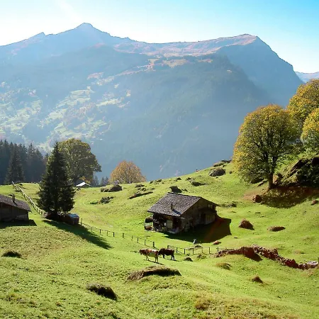 Daire Almisgaessli By Interhome *