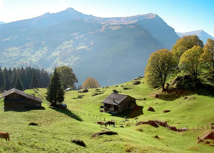 Apartament Almisgaessli By Interhome *