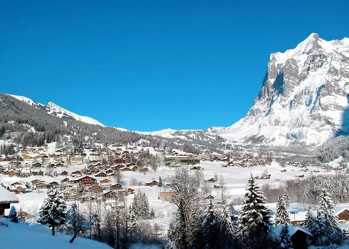 Appartamento Almisgaessli By Interhome Grindelwald